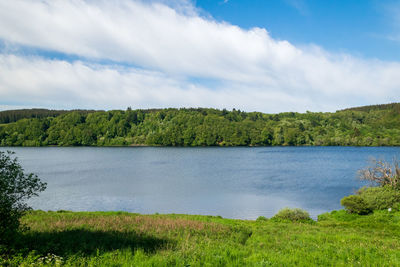 Scenic view of lake by trees against sky