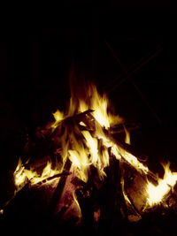 Close-up of bonfire at night