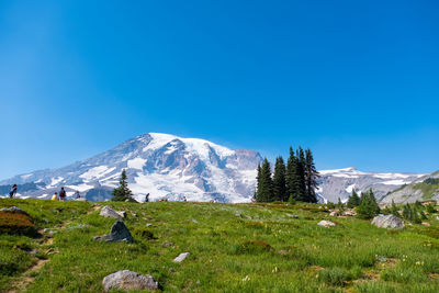 Scenic view of field against clear blue sky