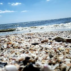 Surface level of rocks on beach