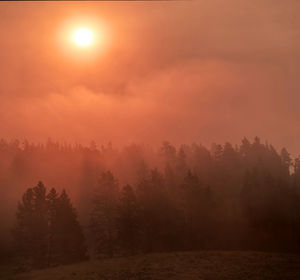 Trees on landscape against sky during sunset