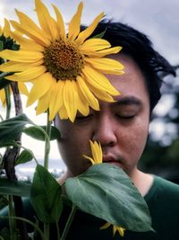 Close-up of sunflower