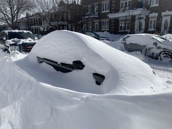snow
