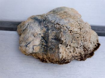 Close-up of bread on rock