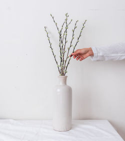 White flowers in vase on table