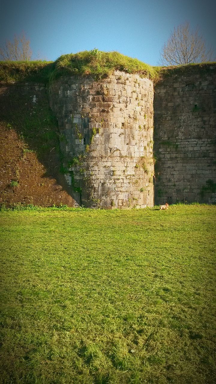 grass, built structure, architecture, building exterior, stone wall, field, plant, green color, sunlight, wall - building feature, growth, day, nature, sky, grassy, no people, clear sky, outdoors, tranquility, landscape