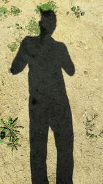 Shadow of man on sand