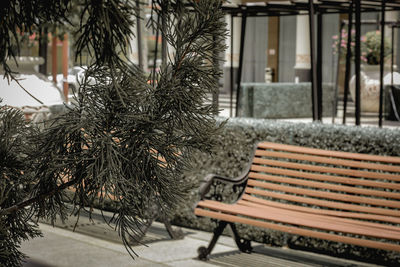 Close-up of bench in park during winter