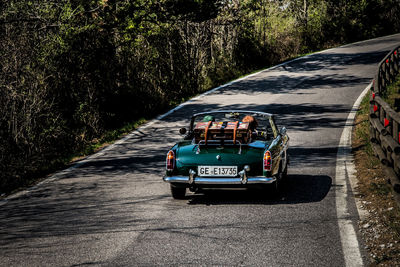 Car on road by trees