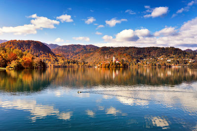 Scenic view of lake by trees against sky