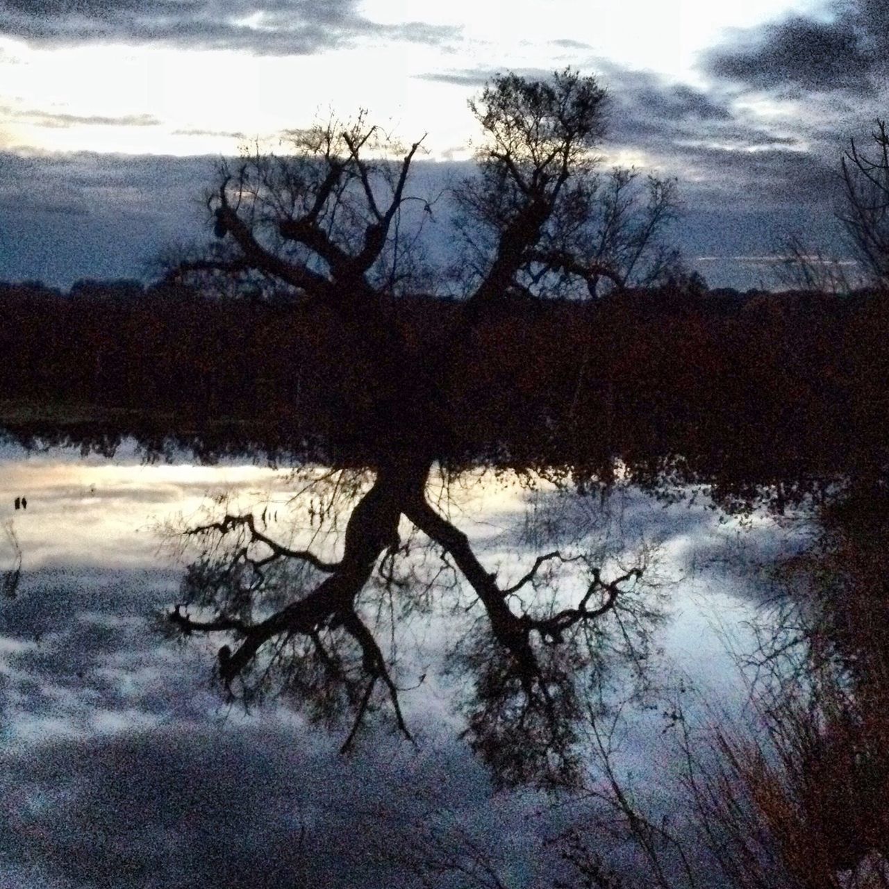 water, lake, bare tree, reflection, tranquility, tranquil scene, tree, sky, scenics, branch, beauty in nature, nature, winter, cold temperature, waterfront, snow, cloud - sky, weather, standing water, non-urban scene