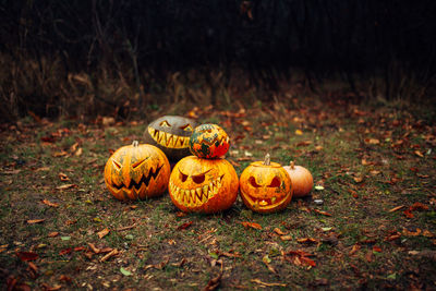 Close-up of pumpkin on field during autumn