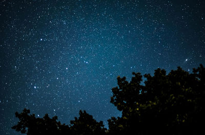 Low angle view of silhouette trees against sky at night