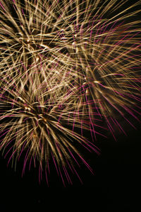 Low angle view of firework display at night