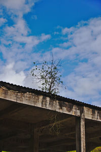Low angle view of tree and building against sky
