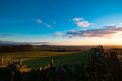 Scenic view of agricultural field against sky