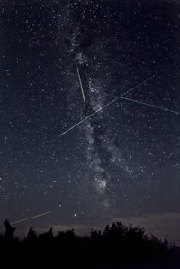 Low angle view of silhouette trees against star field at night