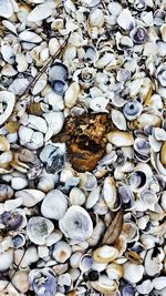 Close-up of stones in water