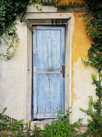 Closed door of old building