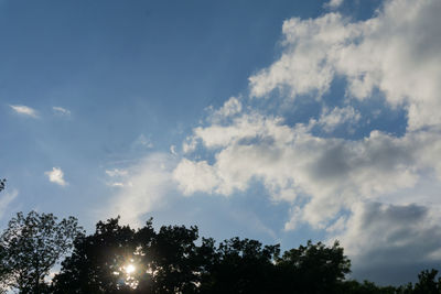 Low angle view of trees against cloudy sky