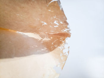 Close-up of ice cream over white background