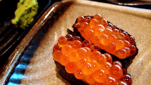 High angle view of fish on table