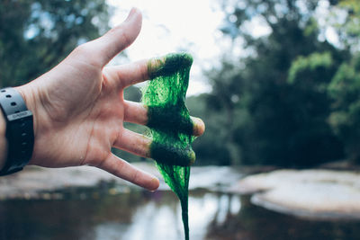 Close-up of hand holding algae at lakeshore