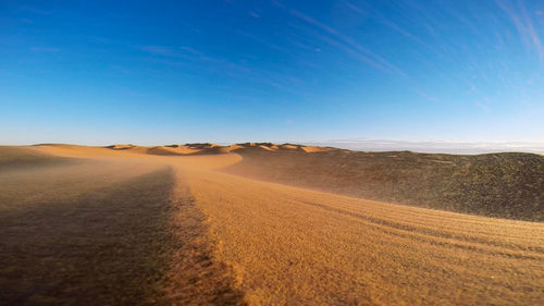 Windy day in the desert