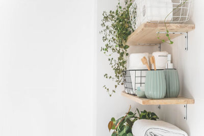 Potted plant against white background