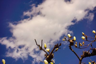 Low angle view of cloudy sky