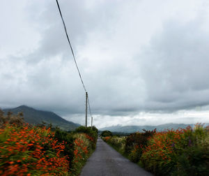 Road amidst plants against sky