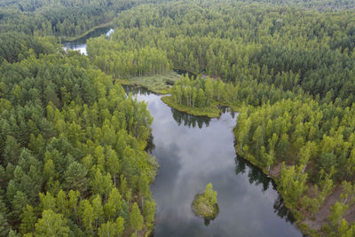 High angle view of lake amidst trees in forest