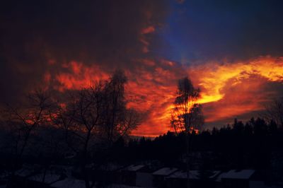 Silhouette trees against orange sky during sunset