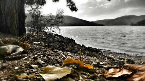 Close-up of stones on beach against sky