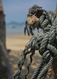 Close-up of rope on beach