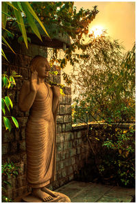 Rear view of woman standing by tree