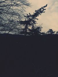 Silhouette tree against sky during sunset