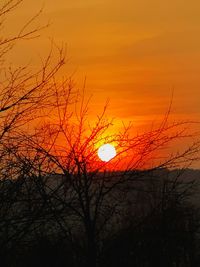 Low angle view of silhouette bare trees against orange sky