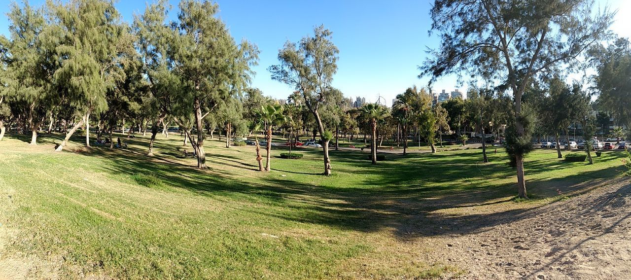 PANORAMIC VIEW OF GOLF COURSE