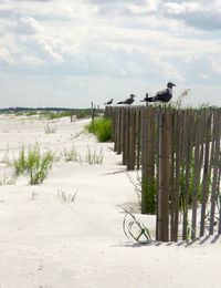 Scenic view of beach against sky