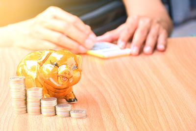 Close-up of coins with piggy bank on table while person in background