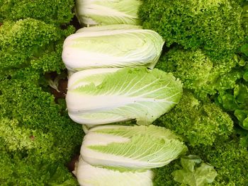 Close-up of vegetables