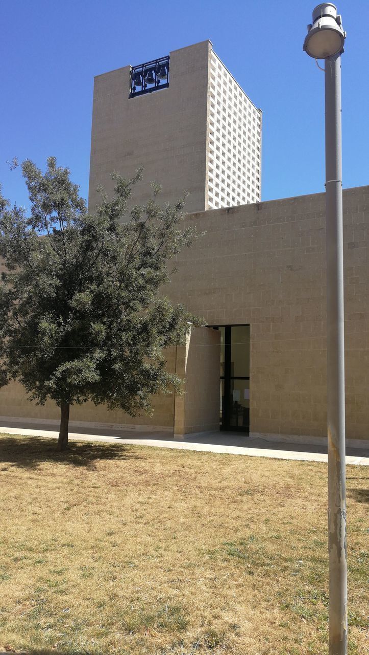 LOW ANGLE VIEW OF TREES ON FIELD AGAINST BUILDINGS