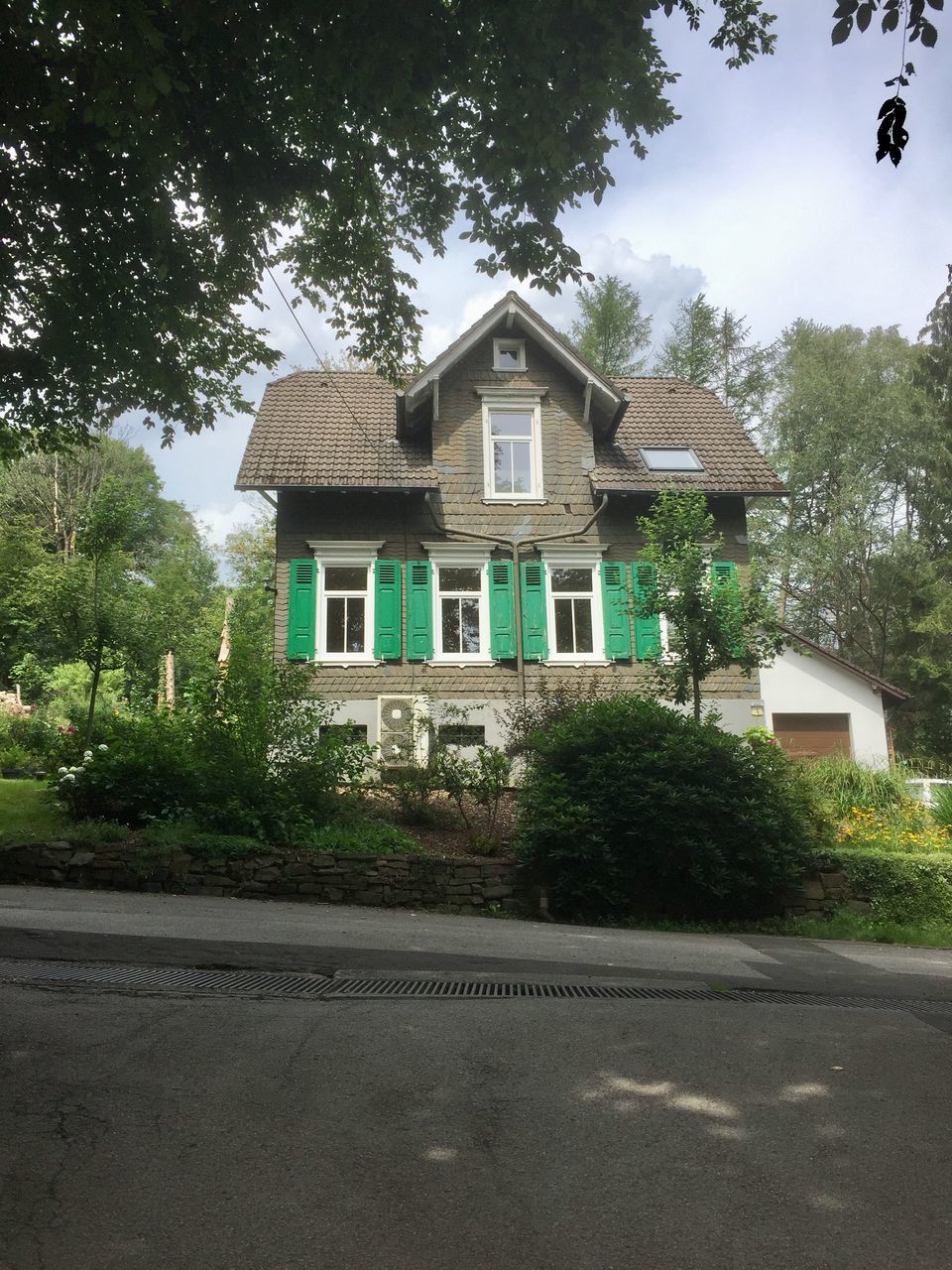 BUILDING BY ROAD AGAINST TREES AND HOUSES