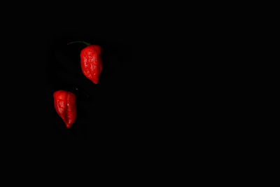 Close-up of red heart shape over black background