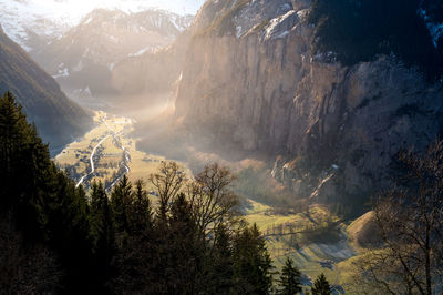 Panoramic view of trees and mountains