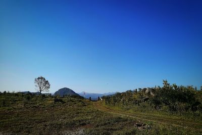 Scenic view of field against clear blue sky