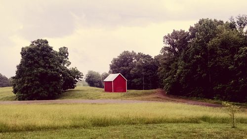 Trees on field against cloudy sky