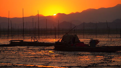 Rear view of silhouette woman sitting at sunset