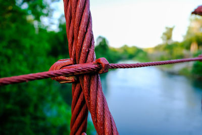 Close-up of rope tied on wooden post